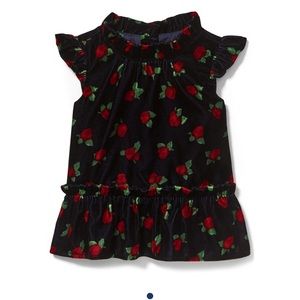 Rose Peplum Velvet Top